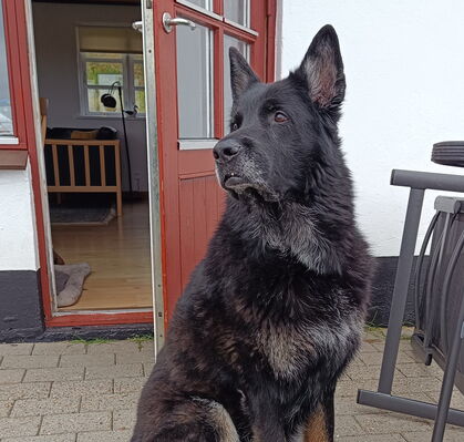 Charlie, 9 aus Bremen
