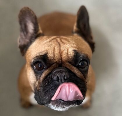 Leni, 5, aus Delmenhorst
