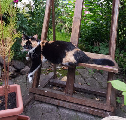 Sophia, 7 aus Fischerhude