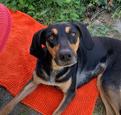 Frieda, 5 aus Sottrum