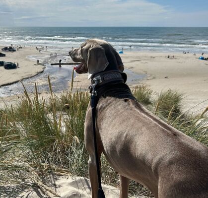 Luna, 2, aus Bremen