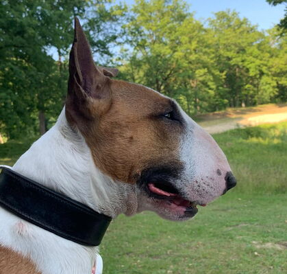 Neo, 6 aus Bremen