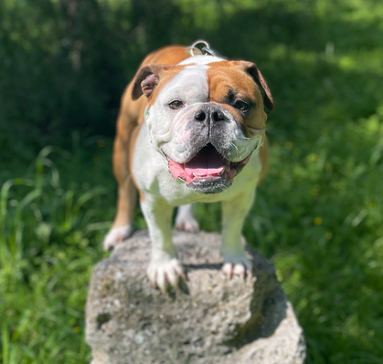 Poppy, 5 aus Bremen