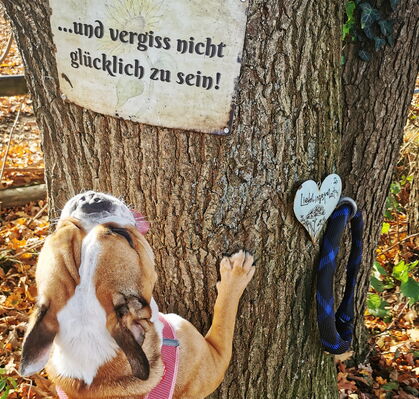 Amory, 3 aus Bremen