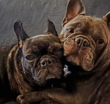 Bonnie, 9 + Clyde, 7 aus Bremen