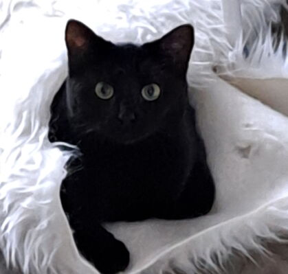 Mimi, 1,5 aus Bremen