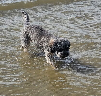 Lucy, 4 aus Grasberg