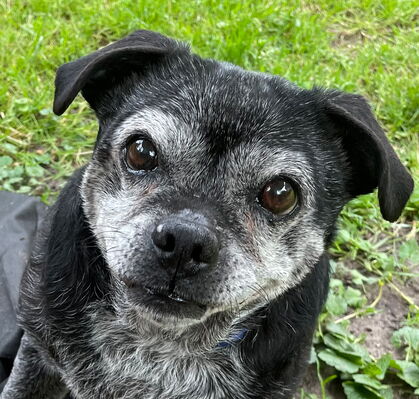 Maggie, 15 aus Narthauen
