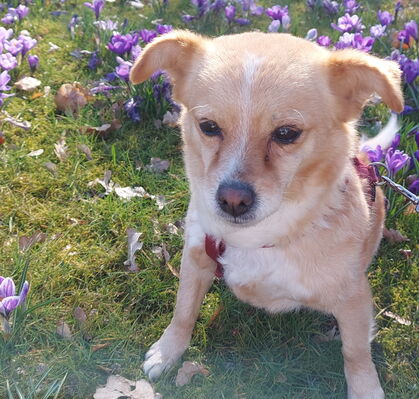 Maya, 10 aus Bremen