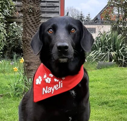 Nayeli, 6 aus Delmenhorst