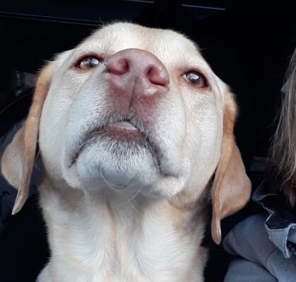 Emma, 7, aus Ritterhude