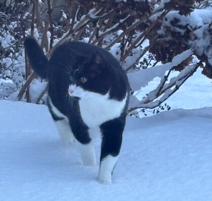 Felix, 15 aus Bremen