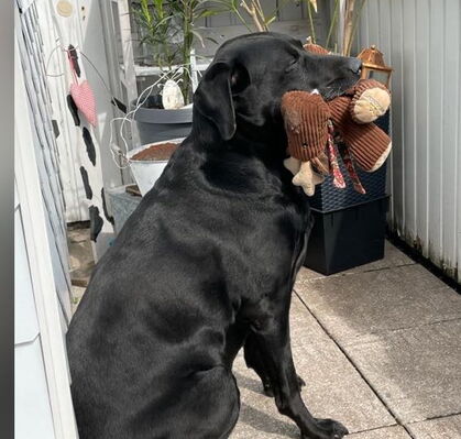 Fred, 13 aus Oyten