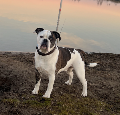 Baba, 6 aus Bremen