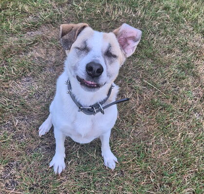 Lulu, 8 aus Ottersberg